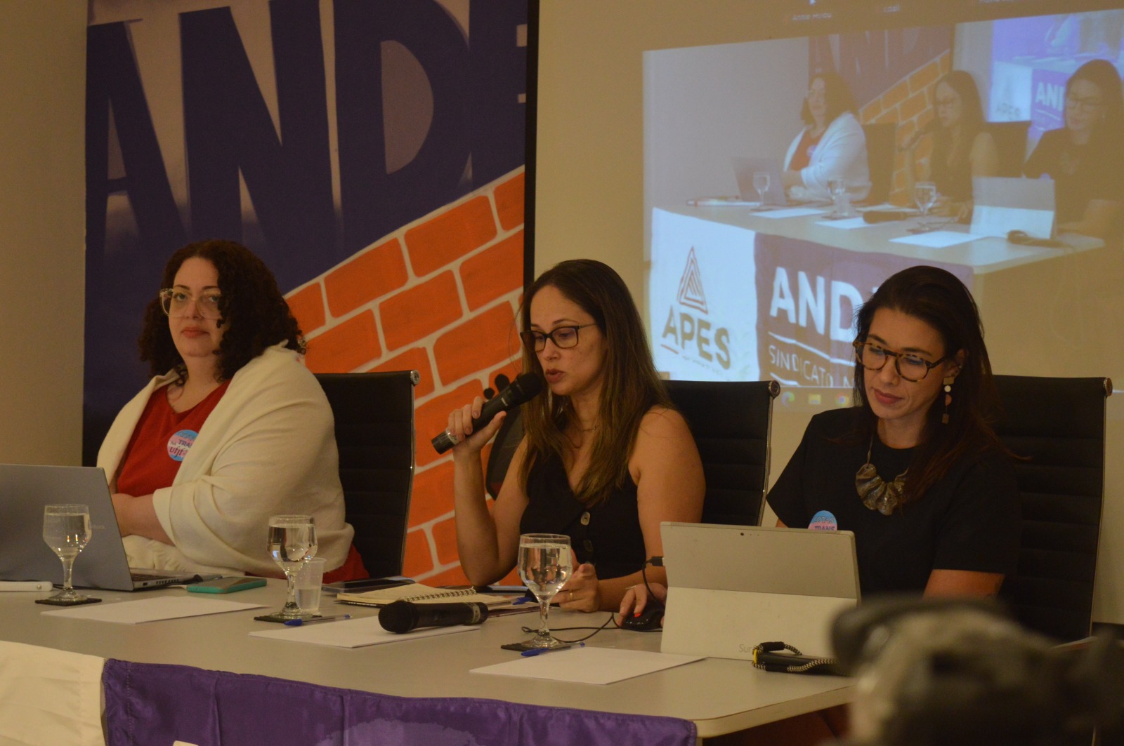 Leia mais sobre o artigo Mesa “Violência de Gênero e Docência marcou atividade da APES no Mês da Mulher