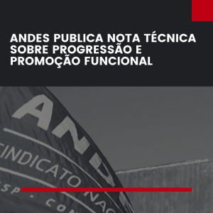 Read more about the article ANDES divulga Nota Técnica sobre progressão e promoção funcional