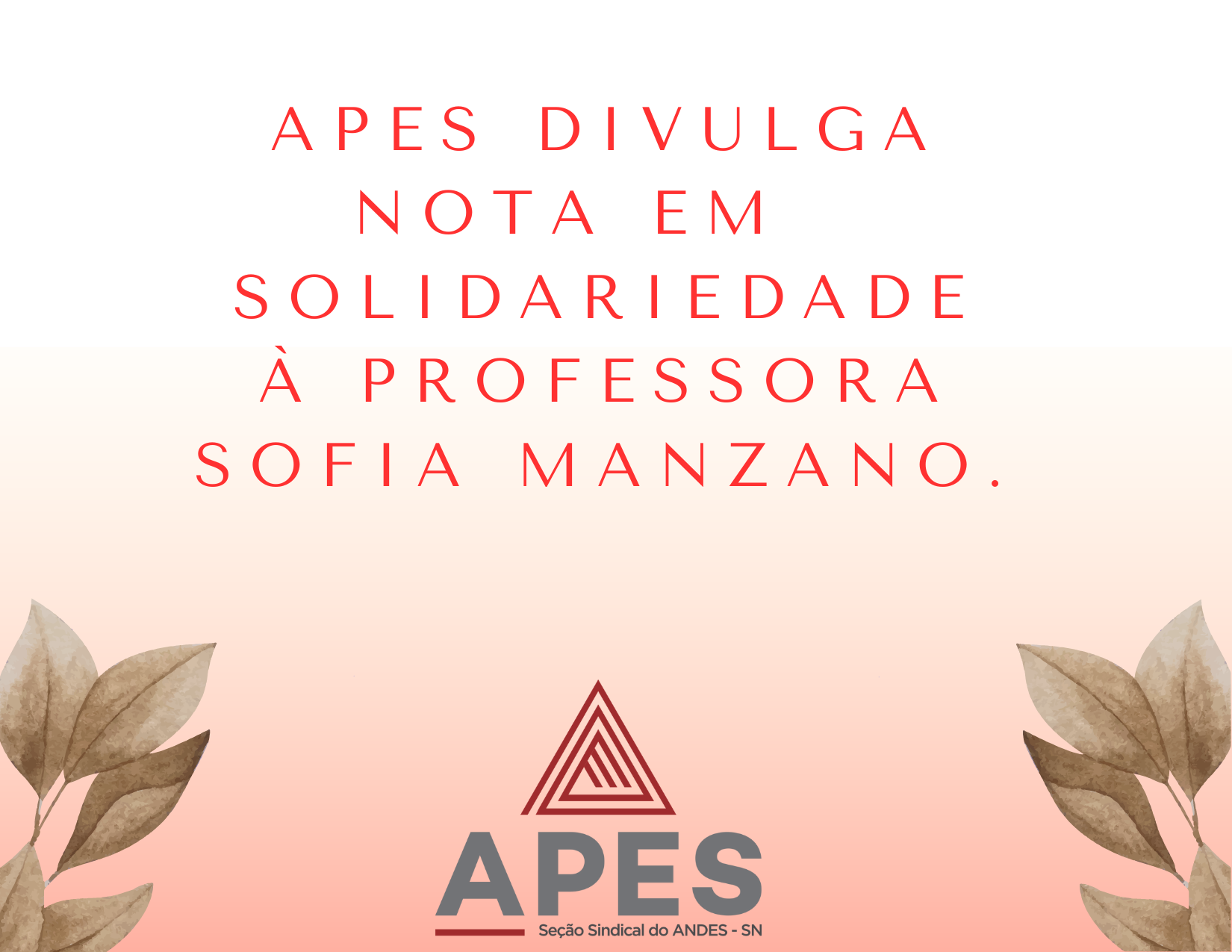 Leia mais sobre o artigo Em nota, APES manifesta apoio à professora Sofia Manzano