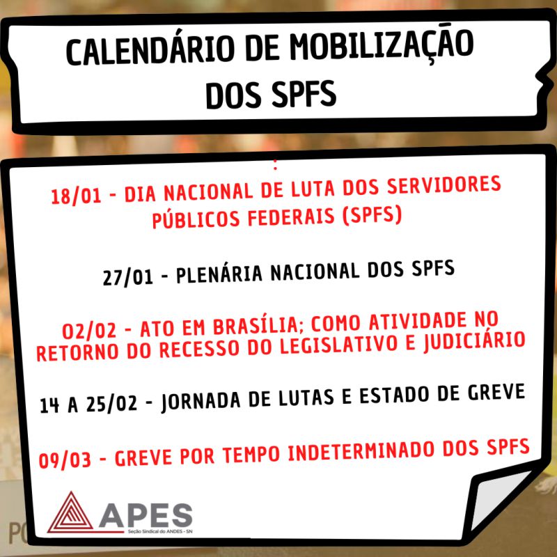 Read more about the article FONASEFE aprova calendário de mobilização